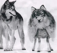 Image used by Mike Worst.