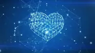 Digital Heart