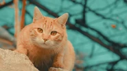 Image used by s2H.