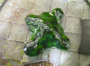 A higher quality version of the commonly associated image. Handmade green slime for Dungeons and Dragons.