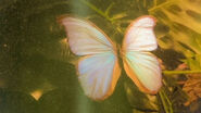 Image used by Luxley
