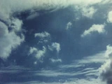 Like The Whirlwind You Arrived In
