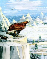 Eagles