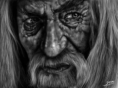Gandalf the Grey, by Giovani Bellofatto 