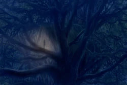 Galadhrin-flets-by-turnermohan