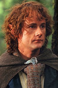 Peregrin Took | The One Wiki to Rule Them All | Fandom