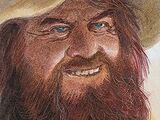 Tom Bombadil