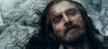 Thorin death