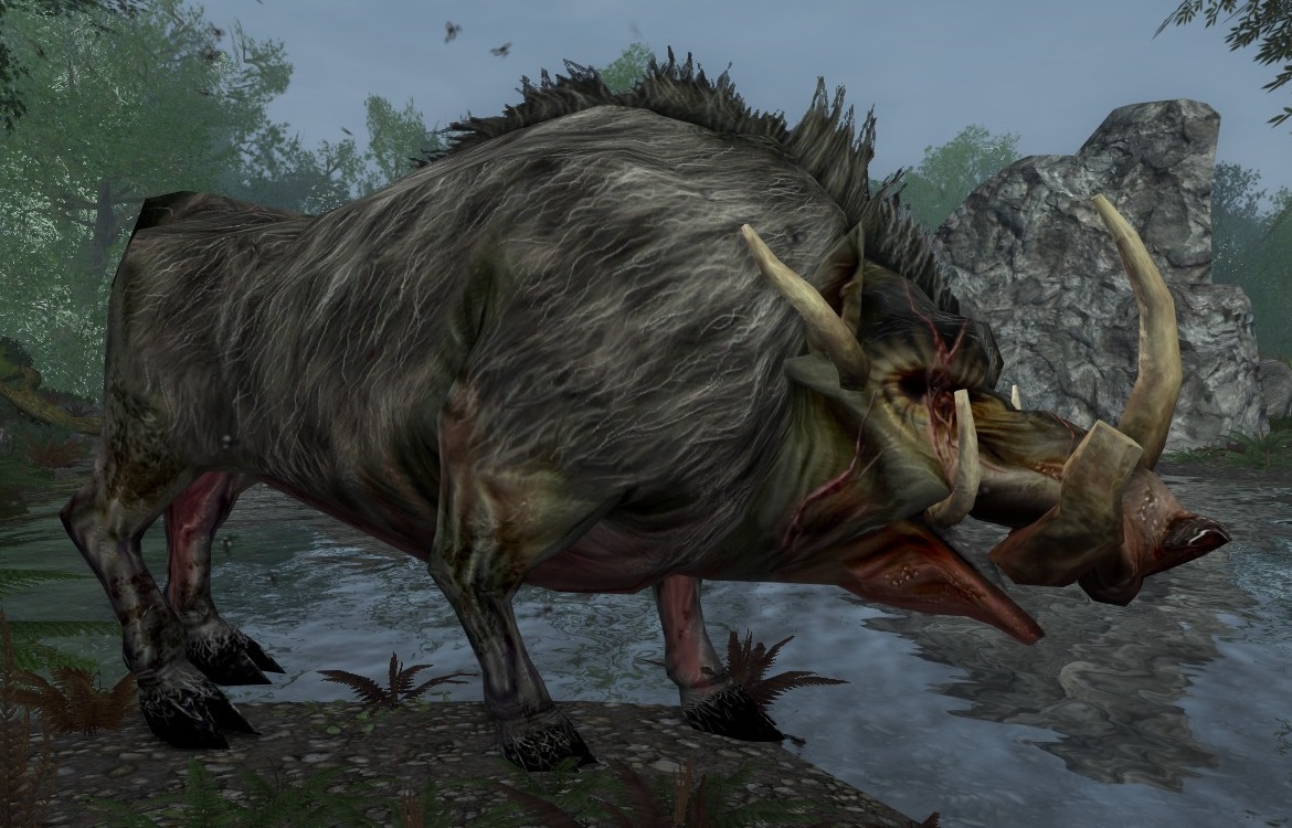 Boar of Everholt | The One Wiki to Rule Them All | Fandom