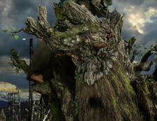 Treebeard2