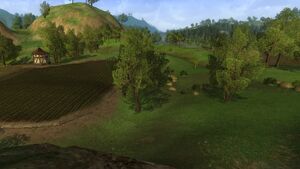 BridgefieldsLOTRO