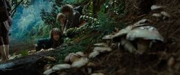 FotR - Pippin spotting mushrooms