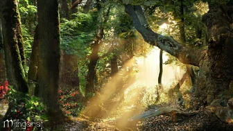 Las Region w Doriath - autor Mithgaraf.