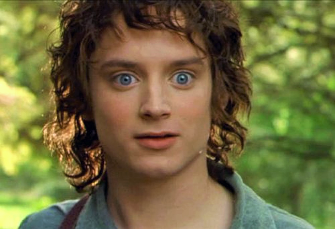 Who did Frodo marry?