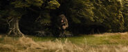 Beorn trailer cameo