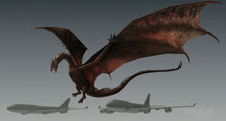 Smaug's size comparison with a Boeing 747