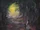 Doriath