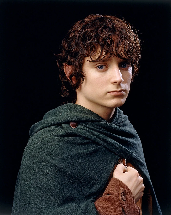 Время фродо. Фродо и сэм. Фродо бэггинс и сэм. Время фродо. Элайджа вуд хоббит.