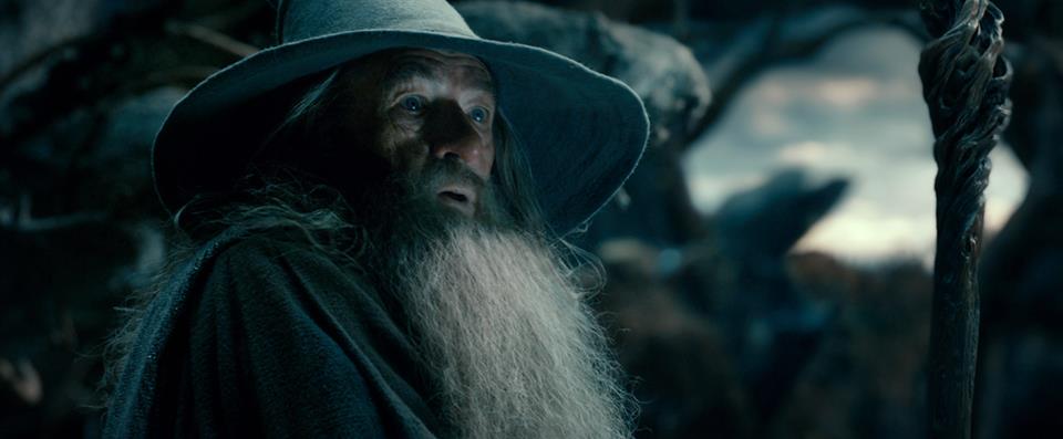 gandalf the gray lord of the rings