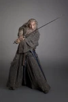 Gandalf (5)