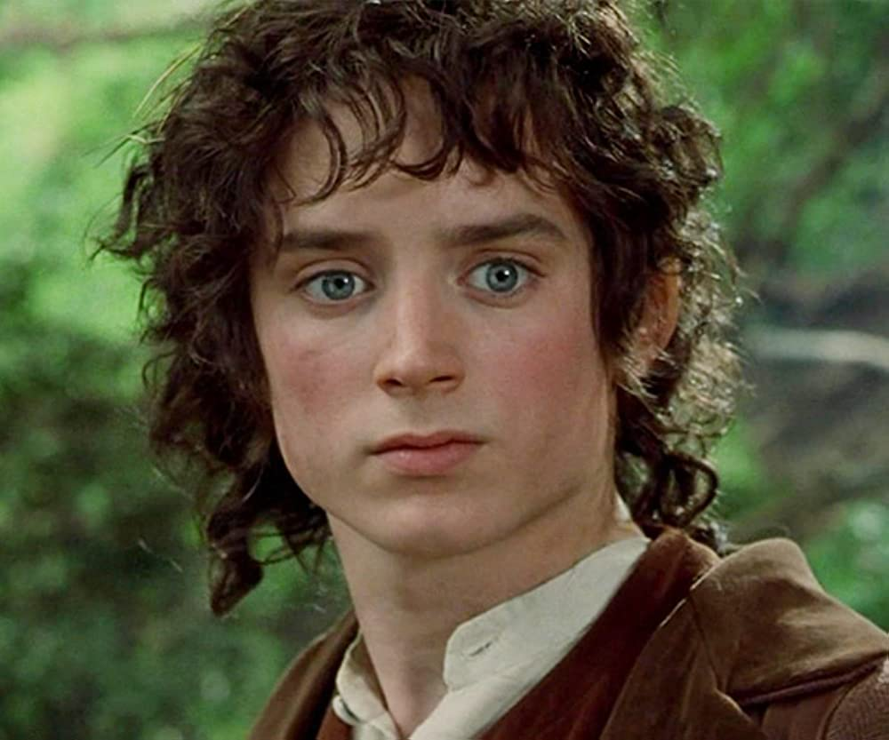 actor for frodo baggins