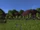 Field of Cormallen