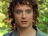 Frodo Pytlík