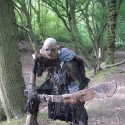 The Hunt for Gollum - Wikipedia