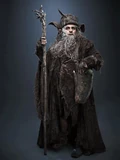 Radagast 3