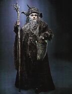 Radagast as portrayed by Sylvester McCoy