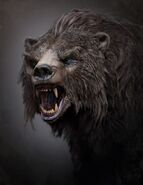 Beorn3