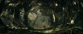 Fangorn Forest as depicted in Peter Jackson's film series