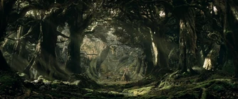 Floresta de Fangorn conforme representada na série de filmes de Peter Jackson