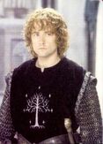 Pippin-soldat