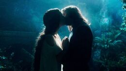 Aragorn and Arwen - The Fellowship Of The Ring