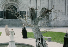 White Tree of Gondor