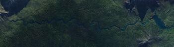 Forest Riverjtm