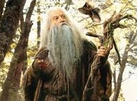Radagast the Brown during the War of the Ring