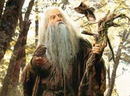 nature wizard hobbit