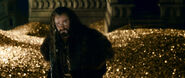 Thorin in the Lonely Mountain