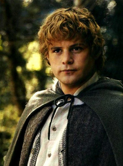 Samwise Gamgee The One Wiki To Rule Them All Fandom