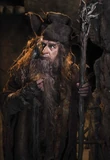Radagast 23