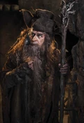 Radagast 23.jpg