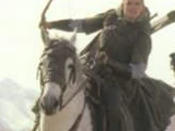 Horses