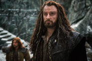 Thorin