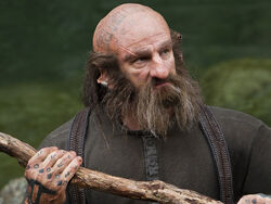 Thcc dwalin 03