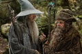 Radagast and Gandalf2