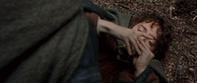Frodo Baggins attacked by Boromir
