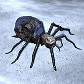 Shelob in the game as a Hero