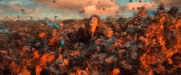 Bilbo reaches the canopy of Mirkwood in The Hobbit films